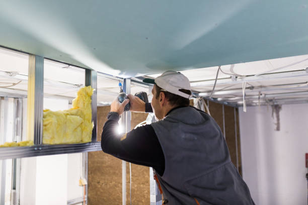 Best Eco-Friendly Insulation in Elmore, OH