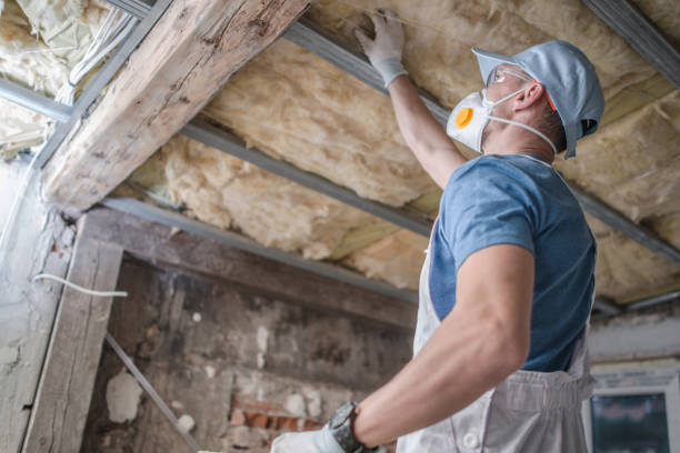 Best Commercial Insulation in Elmore, OH